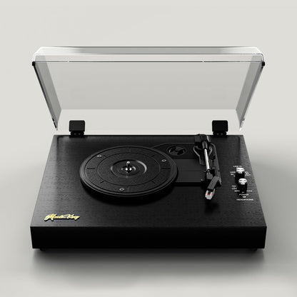 Vinyl Turntable with Built-in Speakers for Entertainment and Home Decoration