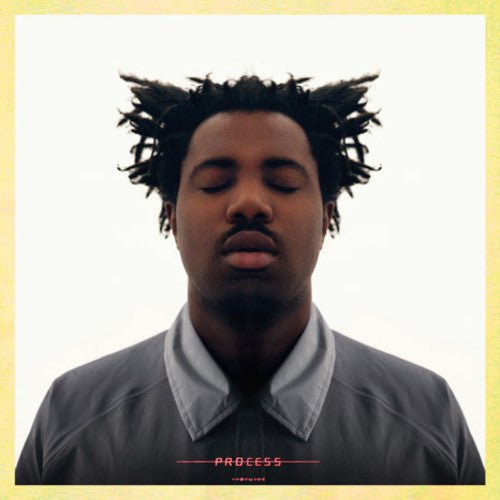SAMPHA - PROCESS ( Vinyl )