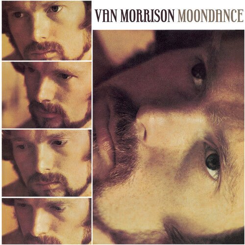 MORRISON,VAN - MOONDANCE ( Vinyl )