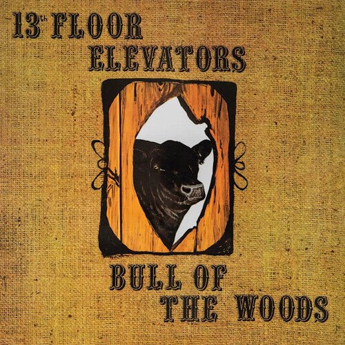 13TH FLOOR ELEVATORS - BULL OF THE WOODS ( Vinyl )