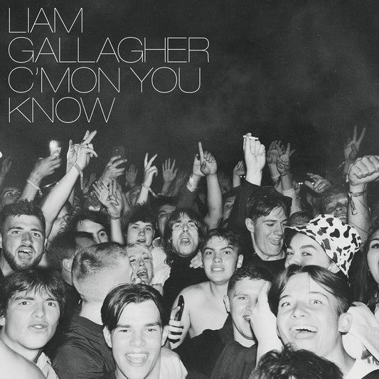 GALLAGHER,LIAM - C'MON YOU KNOW ( Vinyl )